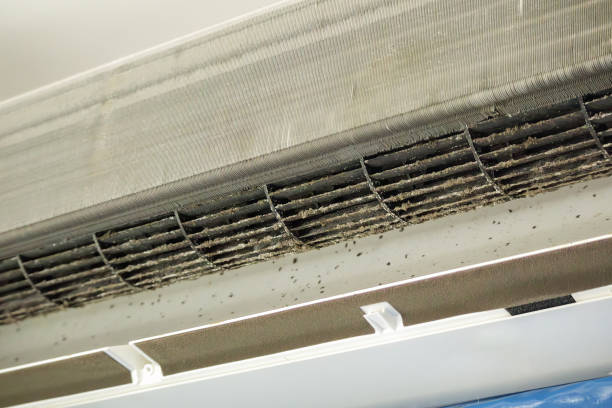 Best Best Air Duct Cleaning Company  in Edgerton, WI